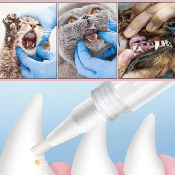 Pet Teeth Cleaning And Whitening Pen Toothbrush Toothpaste Tool Dog - Image 4