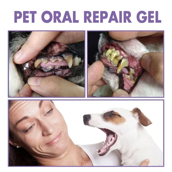 Dog Toothpaste: Teeth Cleaning, Whitening Pen for Bad Breath Treatment - Image 2