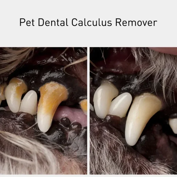 Dog Toothpaste: Tartar Remover Tools for Fresh Breath - Image 3