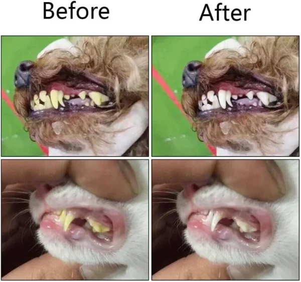 Dog Toothpaste and Double Finger Toothbrush for Teeth Cleaning and Fresh Breath - Image 5