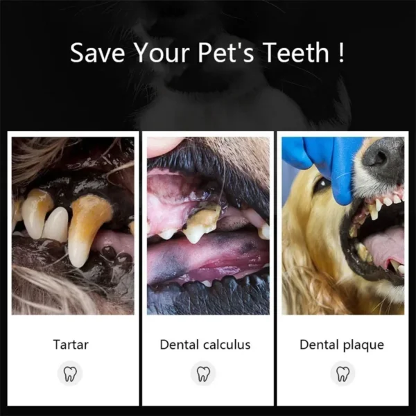 Dog Toothpaste: Tartar Remover Tools for Fresh Breath - Image 5