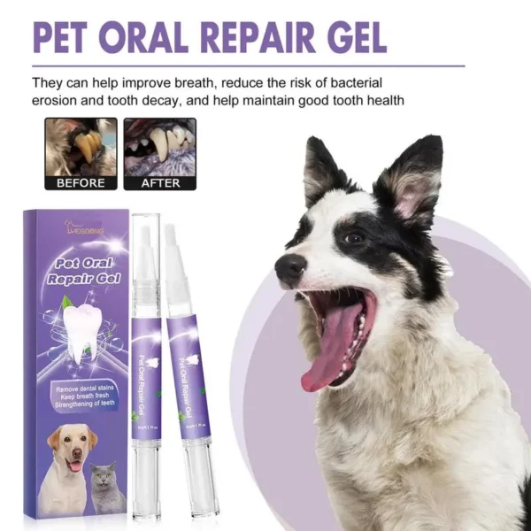 Dog Toothpaste and Teeth Gel for Pet Oral Hygiene and Fresh Breath - Image 3