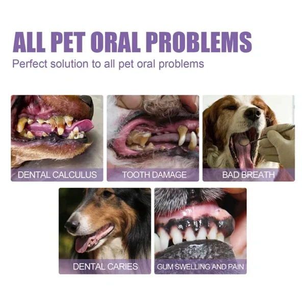 Dog Toothpaste and Whitening Pen for Teeth Cleaning and Bad Breath Removal - Image 5