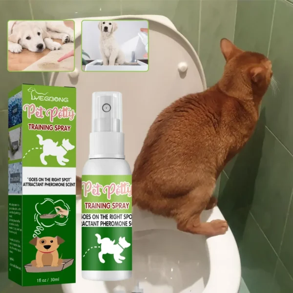 Dog Toothpaste and Defecation Training Spray for Pet Care