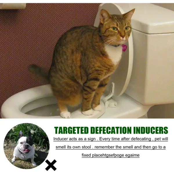 Dog Toothpaste and Defecation Training Spray for Pet Care - Image 2