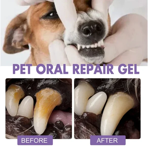 Dog Toothpaste: Teeth Cleaning, Whitening Pen for Bad Breath Treatment - Image 4