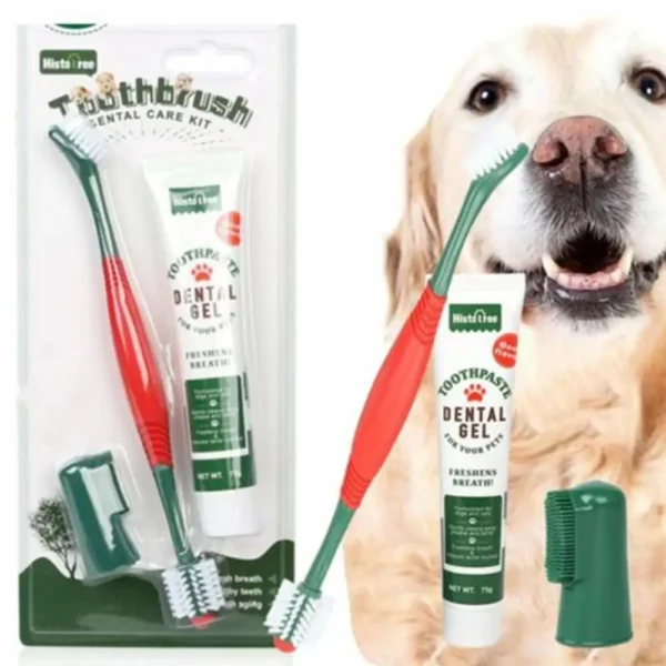 Healthy Edible Dog Toothpaste with Delicious Vanilla and Beef Flavors