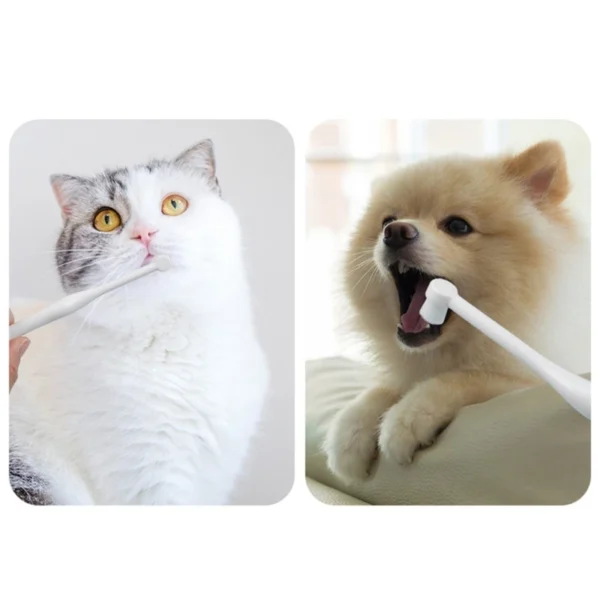 Dog Toothpaste: Teeth Cleaning Brush for Pets' Oral Health - Image 4