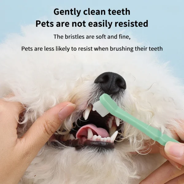 Dog Toothbrush Small Head Long Handle for Dog Toothpaste - Image 4