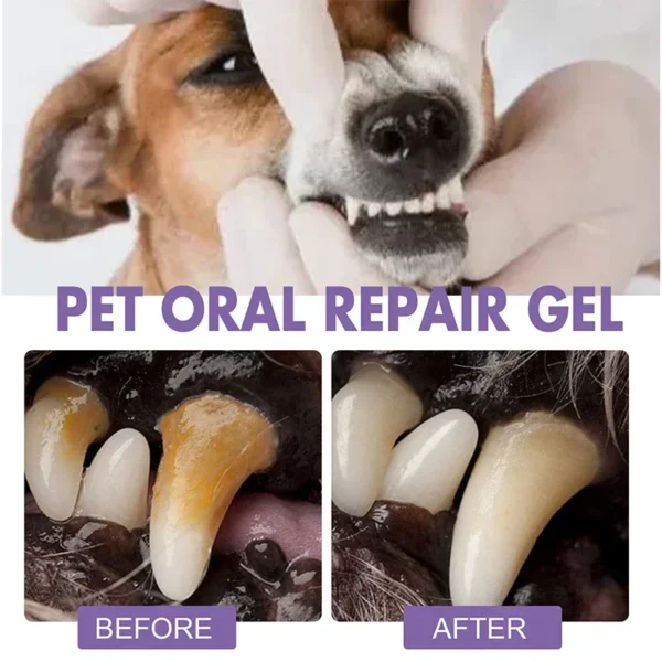 Dog Toothpaste and Whitening Pen for Teeth Cleaning and Bad Breath Removal - Image 4