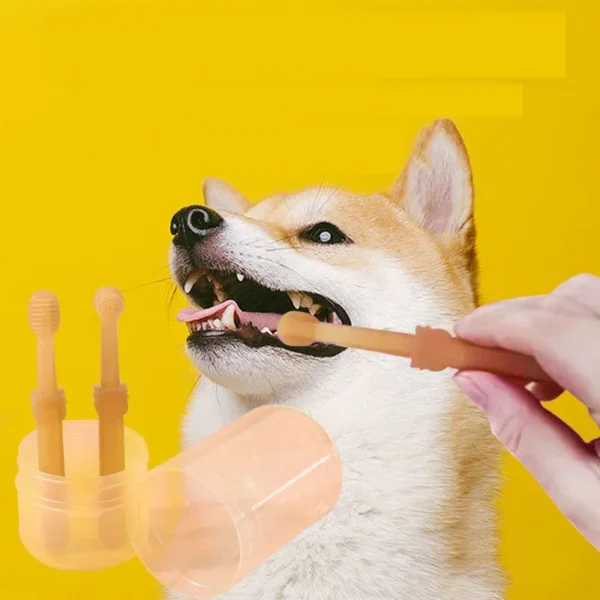 Dog Toothpaste Silicone Soft Toothbrush Oral Care Kit