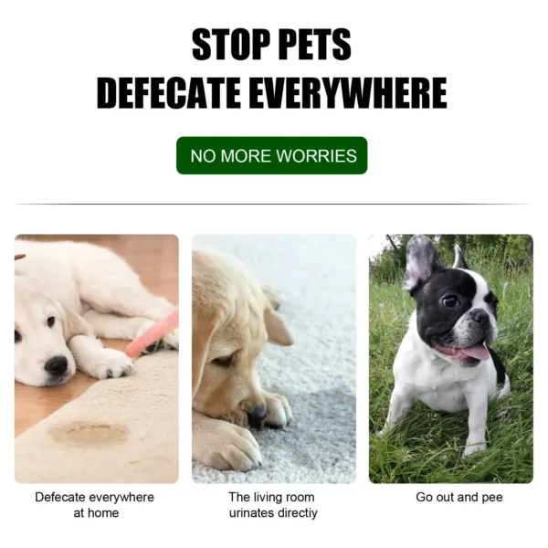 Dog Toothpaste and Defecation Training Spray for Pet Care - Image 4