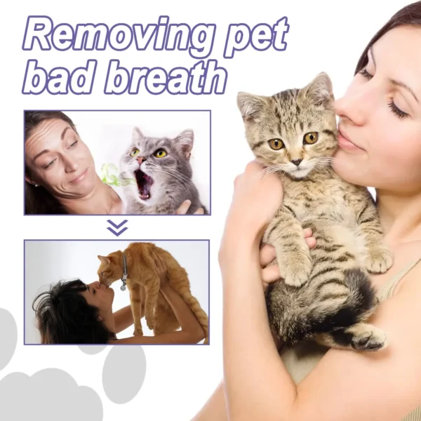 Dog Toothpaste and Oral Care Gel for Teeth Cleaning, Odor, and Stain Removal - Image 4