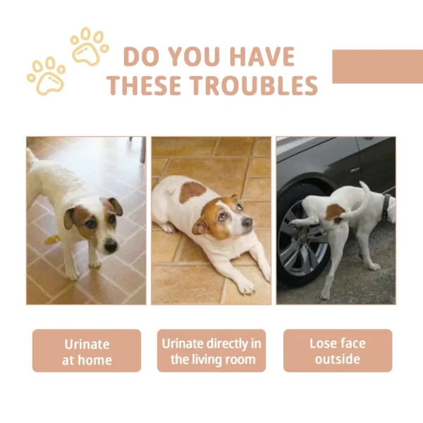 Dog Toothpaste and Potty Training Spray for Fresh Breath and Cleanliness - Image 3