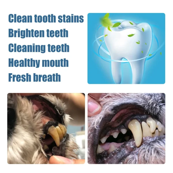 Dog Toothpaste and Teeth Cleaner Pen for Tartar Removal and Hygiene - Image 2