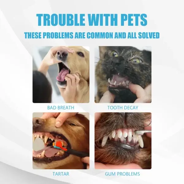 60g Dog Toothpaste for Fresh Breath and Tartar Removal - Image 4