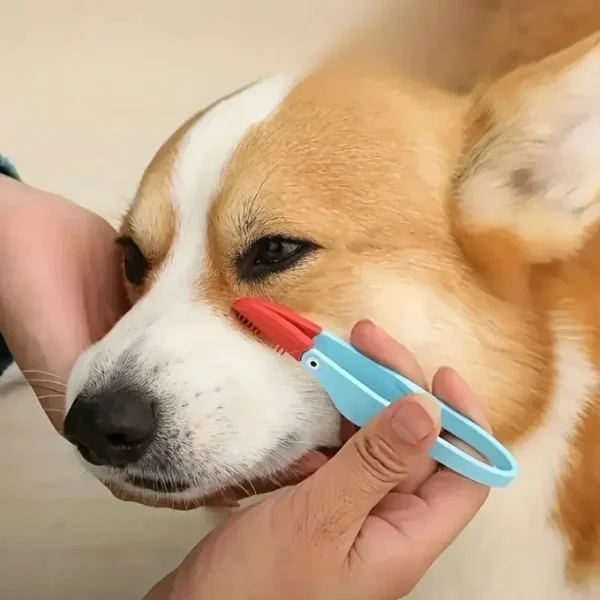 Dog Toothpaste and Soft Silicon Brush for Eye Cleaning and Grooming