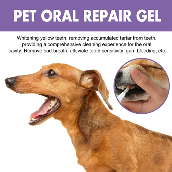 Dog Toothpaste: Teeth Cleaning, Whitening Pen for Bad Breath Treatment - Image 6