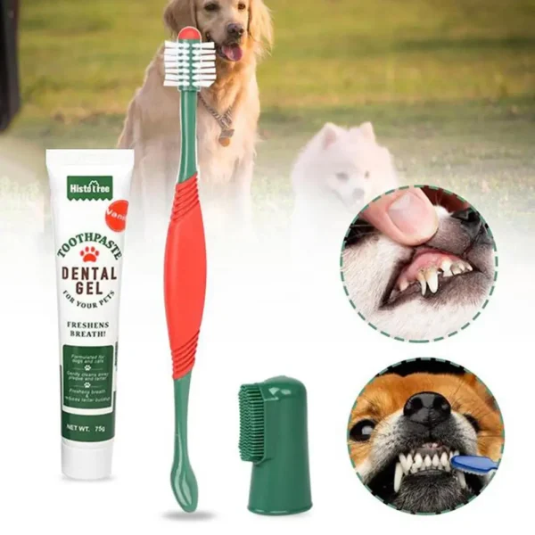 Healthy Edible Dog Toothpaste with Delicious Vanilla and Beef Flavors - Image 6
