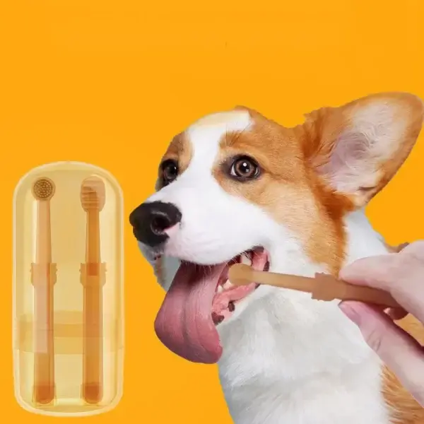 dog tooth paste