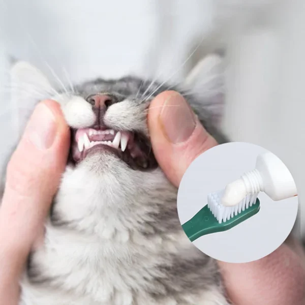 Pet Double Head Toothbrush Set For Cat Dog Oral Cleaning Care - Image 4