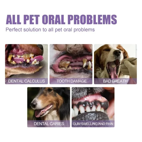 Whitening Dog Toothpaste for Removing Stains and Maintaining Hygiene - Image 4