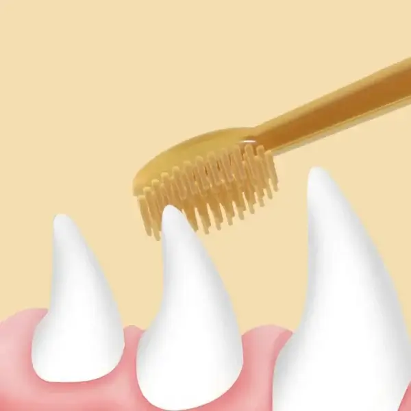 Dog Toothpaste Silicone Soft Toothbrush Oral Care Kit - Image 5