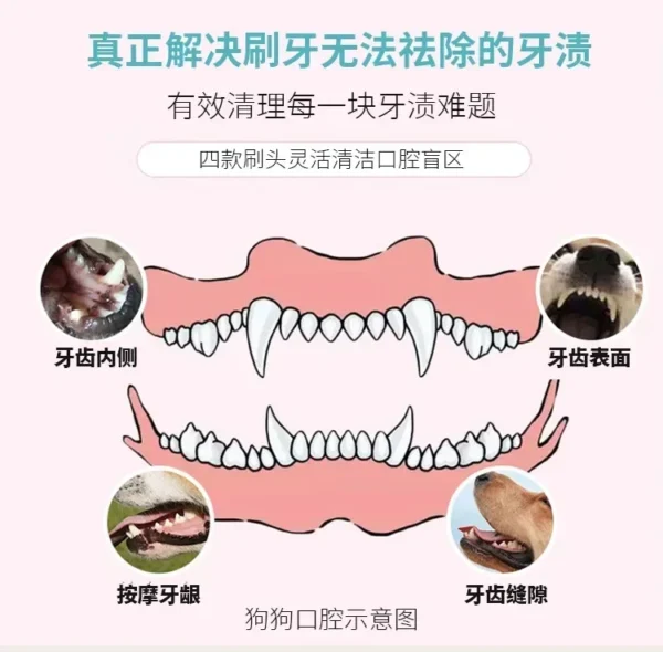 Dog Toothpaste and Electric Toothbrush Cleaner for Oral Health Care - Image 6