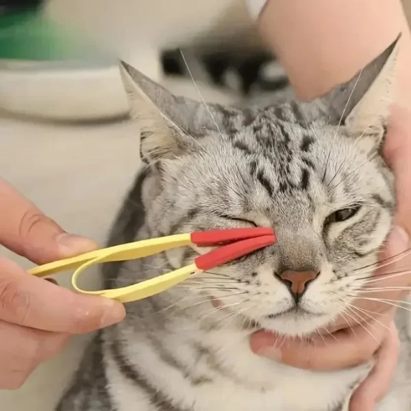 Dog Toothpaste and Soft Silicon Brush for Eye Cleaning and Grooming - Image 3