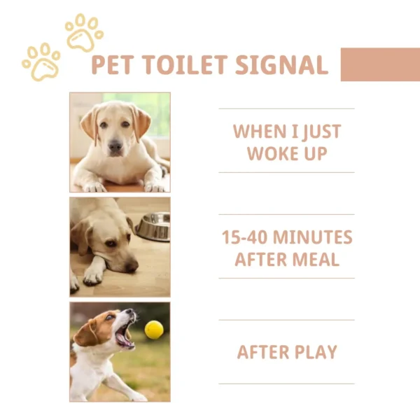 Dog Toothpaste and Potty Training Spray for Fresh Breath and Cleanliness - Image 4
