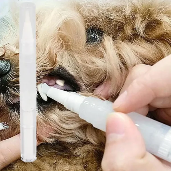 Pet Teeth Cleaning And Whitening Pen Toothbrush Toothpaste Tool Dog - Image 3